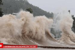 Ban Chỉ đạo Ph&ograve;ng thủ d&acirc;n sự quốc gia y&ecirc;u cầu khẩn trương ứng ph&oacute; b&atilde;o số 1