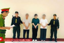 Khởi tố đường d&acirc;y 'h&ocirc; biến' h&agrave;ng Trung Quốc th&agrave;nh h&agrave;ng Canada để tr&uacute;ng thầu