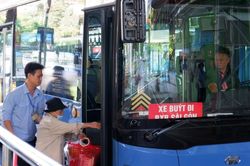 TPHCM 'tuýt còi' tài xế, tiếp viên làm khó khách đi xe buýt 0 đồng