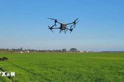 FAO lần đầu tiên tổ chức hội nghị toàn cầu về nông nghiệp thông minh