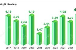 CPI bình quân 6 tháng năm 2026 tăng 4,38%