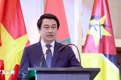 Việt Nam và Ghana thúc đẩy hợp tác trên các lĩnh vực tiềm năng