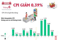 CPI tháng 6/2026 giảm 0,39%