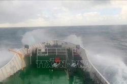 Cứu sống 7 ngư dân trong vụ đắm tàu cá trên vùng biển Cô Tô