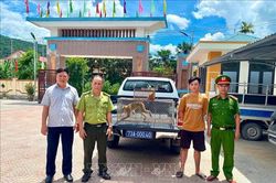 Quảng Trị: Tiếp nhận nhiều động vật hoang d&atilde; qu&yacute; hiếm
