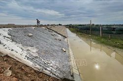 Đồng bằng Bắc Bộ và Thanh Hóa đảm bảo an toàn đê điều ứng phó bão số 1