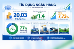 Tín dụng 6 tháng 2026 tăng 7,73%, vốn chảy mạnh vào sản xuất
