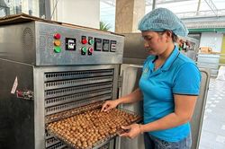 Dòng điện góp phần nâng tầm giá trị nông sản OCOP