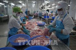 Đề xuất 3 nhiệm vụ công nghệ chiến lược phục vụ phát triển nông nghiệp