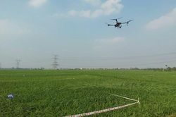 Cập nhật Danh mục thuốc bảo vệ thực vật phục vụ sản xuất nông nghiệp