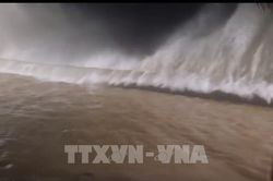 Thanh H&oacute;a triển khai lực lượng xung k&iacute;ch ứng ph&oacute; b&atilde;o số 1