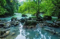 Không thu phí tham quan tại các Khu di tích Khu di tích Quốc gia trên địa bàn tỉnh Cao Bằng