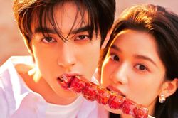 'Chó Hoang Và Xương' phá 4,5 triệu đặt trước trên Mango TV và Weibo