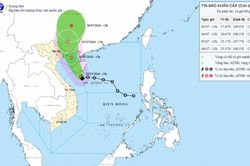 Tin khẩn cấp về cơn bão số 1