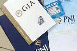 Cựu CEO P-Lab bị khởi tố và những góc khuất phía sau quyền lực giám định kim cương