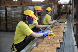 Xúc tiến thương mại tạo đòn bẩy cho xuất khẩu gỗ