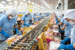 UKVFTA mở rộng cánh cửa cho thủy sản Việt Nam tại thị trường Anh