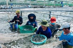 C&ocirc;ng nghiệp, thương mại C&agrave; Mau khởi sắc trong nửa đầu năm 2026