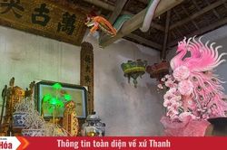 Trên đỉnh núi Sồi