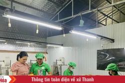 Xây dựng sản phẩm OCOP để thúc đẩy kinh tế tập thể