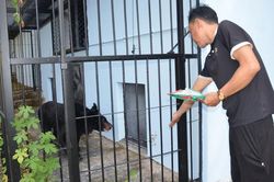 Hạt Kiểm lâm khu vực IV công khai đường dây nóng tiếp nhận thông tin về động vật hoang dã
