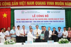 Bệnh viện Ung bướu TP. Hồ Chí Minh chuyển giao kỹ thuật cho Bệnh viện Ung bướu Kiên Giang