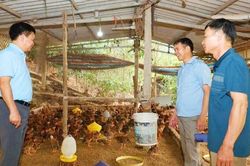 Phát huy dân chủ ở cơ sở, nâng cao hiệu quả công tác dân vận