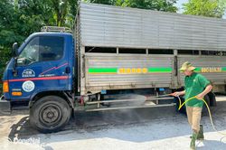 Phát triển chăn nuôi heo an toàn