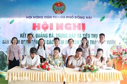 Kết nối quảng bá sản phẩm OCOP gắn với du lịch sinh thái
