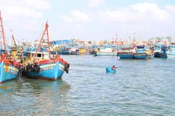 Gia Lai không có tàu cá nằm trong khu vực nguy hiểm của bão số 1