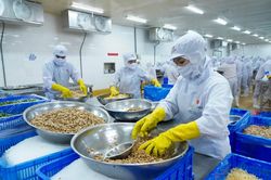 Phát triển Halal từ sự đồng hành