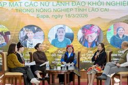 N&acirc;ng cao quyền năng kinh tế cho phụ nữ