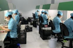 Chọn tạo, nhân giống cây trồng, vật nuôi mới có đặc tính ưu việt