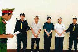 TP. Hồ Chí Minh: Khởi tố nhóm đối tượng làm giả hồ sơ trúng thầu thiết bị điện hơn 89 tỷ đồng