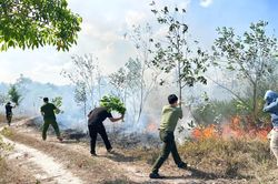 Nam Trạch: Chủ động ph&ograve;ng ch&aacute;y, chữa ch&aacute;y rừng