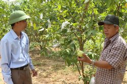 Động lực giảm nghèo từ những mô hình sinh kế xanh