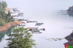 Nỗ lực tìm đầu ra ổn định cho thủy sản