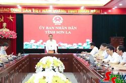 Rà soát tiến độ thực hiện các dự án sử dụng nguồn dự phòng ngân sách Trung ương và dự án bố trí dân cư bản Ngậm, xã Bắc Yên