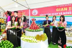 Khai mạc Ngày hội Văn hóa, Thể thao và Du lịch xã Thuận Châu năm 2026