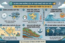 UBND tỉnh Tuy&ecirc;n Quang chỉ đạo ứng ph&oacute; với cơn b&atilde;o số 1