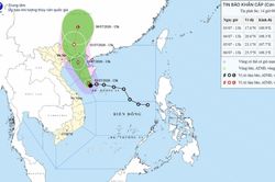 Y&ecirc;u cầu c&aacute;c địa phương kiểm tra đ&ecirc; xung yếu trước mưa b&atilde;o