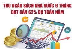 Infographics: Thu ngân sách nhà nước 6 tháng đạt khoảng 1.565,4 nghìn tỷ đồng