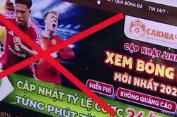 Góc nhìn văn hóa: Không gian mạng và 'cuộc chiến' bản quyền