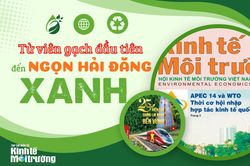 Từ những viên gạch đầu tiên đến 'ngọn hải đăng xanh'