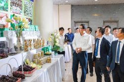 Khoa học công nghệ thúc đẩy phát triển kinh tế - xã hội nông thôn, miền núi, vùng dân tộc thiểu số Khoa học công nghệ thành sinh kế bền vững