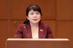 Phó trưởng Đoàn chuyên trách Đoàn ĐBQH tỉnh Quảng Ninh Nguyễn Thị Thu Hà: Đổi mới mạnh mẽ phương thức tổ chức, đánh giá hiệu quả giám sát dựa trên mức độ tác động đến thực tiễn