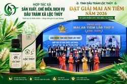 Tinh dầu Lộc Thủy - Hành trình vươn xa