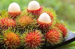 Cù Lao Bình Hòa Phước: gieo thương hiệu, gặt giá trị cho trái chôm chôm