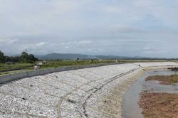 Các tỉnh Quảng Ninh đến Thanh Hóa đảm bảo an toàn đê điều ứng phó bão số 1