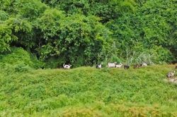 Chạm v&agrave;o b&igrave;nh y&ecirc;n nơi bản Mường Cốc